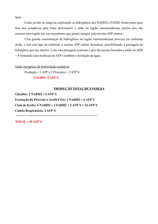 água.
Como já dito ao longo da explicação os hidrogênios dos NADH2 e FADH2 foram posto para
fora dos complexos pela força protomotriz e estão na região intermembranar, porém eles vão
retornar para região por um mecanismo que gerará energia, pela enzima ATP sintase.
Uma grande concentração de hidrogênios na região intermembranar provoca um ambiente
ácido, e sob este tipo de ambiente a enzima ATP sintase desnatura, possibilitando a passagem do
hidrogênio por seu interior. Com esta passagem ocasiona o giro da enzima havendo a união do ADP
+ P formando uma molécula de ATP e também a formação de água.
Saldo energético da fosforilação oxidativa:
Produção = 1 ATP x 2 Piruvatos = 2 ATP´S
SALDO= 2 ATP´S
PRODUÇÃO TOTAL DE ENERGIA
Glicólise: 2 NADH2 = 6 ATP´S
Formação do Piruvato a Acetil-COA: 2 NADH2 = 6 ATP´S
Ciclo de Krebs: 6 NADH2 + 2 FADH2 + 2 ATP´S = 24 ATP´S
Cadeia Respiratória: 2 ATP´S
TOTAL = 38 ATP´S
 