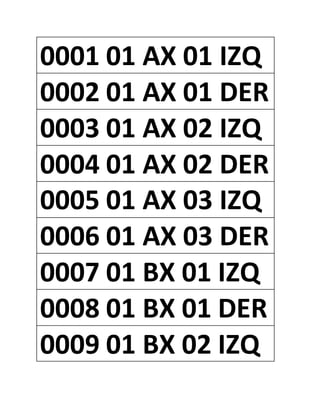 0001 01 AX 01 IZQ
0002 01 AX 01 DER
0003 01 AX 02 IZQ
0004 01 AX 02 DER
0005 01 AX 03 IZQ
0006 01 AX 03 DER
0007 01 BX 01 IZQ
0008 01 BX 01 DER
0009 01 BX 02 IZQ
 