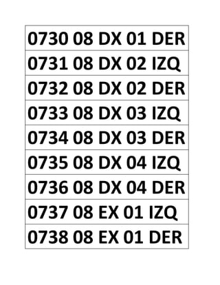 0730 08 DX 01 DER
0731 08 DX 02 IZQ
0732 08 DX 02 DER
0733 08 DX 03 IZQ
0734 08 DX 03 DER
0735 08 DX 04 IZQ
0736 08 DX 04 DER
0737 08 EX 01 IZQ
0738 08 EX 01 DER
 