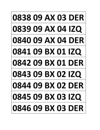 0838 09 AX 03 DER
0839 09 AX 04 IZQ
0840 09 AX 04 DER
0841 09 BX 01 IZQ
0842 09 BX 01 DER
0843 09 BX 02 IZQ
0844 09 BX 02 DER
0845 09 BX 03 IZQ
0846 09 BX 03 DER
 