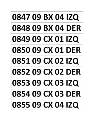 0847 09 BX 04 IZQ
0848 09 BX 04 DER
0849 09 CX 01 IZQ
0850 09 CX 01 DER
0851 09 CX 02 IZQ
0852 09 CX 02 DER
0853 09 CX 03 IZQ
0854 09 CX 03 DER
0855 09 CX 04 IZQ
 