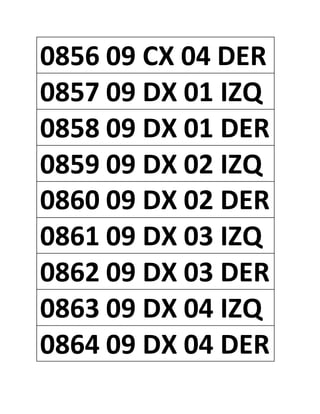 0856 09 CX 04 DER
0857 09 DX 01 IZQ
0858 09 DX 01 DER
0859 09 DX 02 IZQ
0860 09 DX 02 DER
0861 09 DX 03 IZQ
0862 09 DX 03 DER
0863 09 DX 04 IZQ
0864 09 DX 04 DER
 