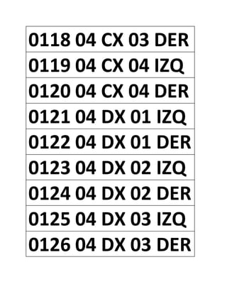 0118 04 CX 03 DER
0119 04 CX 04 IZQ
0120 04 CX 04 DER
0121 04 DX 01 IZQ
0122 04 DX 01 DER
0123 04 DX 02 IZQ
0124 04 DX 02 DER
0125 04 DX 03 IZQ
0126 04 DX 03 DER
 