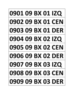 0901 09 BX 01 IZQ
0902 09 BX 01 CEN
0903 09 BX 01 DER
0904 09 BX 02 IZQ
0905 09 BX 02 CEN
0906 09 BX 02 DER
0907 09 BX 03 IZQ
0908 09 BX 03 CEN
0909 09 BX 03 DER
 