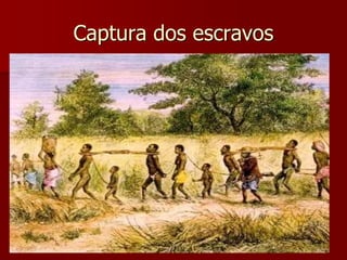 Captura dos escravos
 