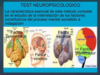 1962:  Las funciones corticales superiores del hombre.