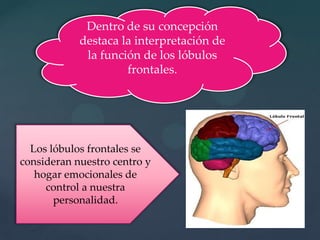Dentro de su concepción destaca la interpretación de la función de los lóbulos frontales.Los lóbulos frontales se consideran nuestro centro y hogar emocionales de control a nuestra personalidad.
