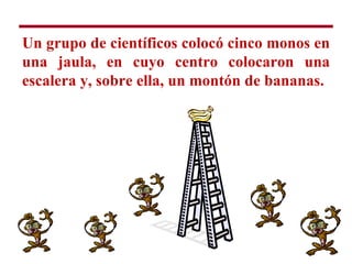 Un grupo de científicos colocó cinco monos en
una jaula, en cuyo centro colocaron una
escalera y, sobre ella, un montón de bananas.
 