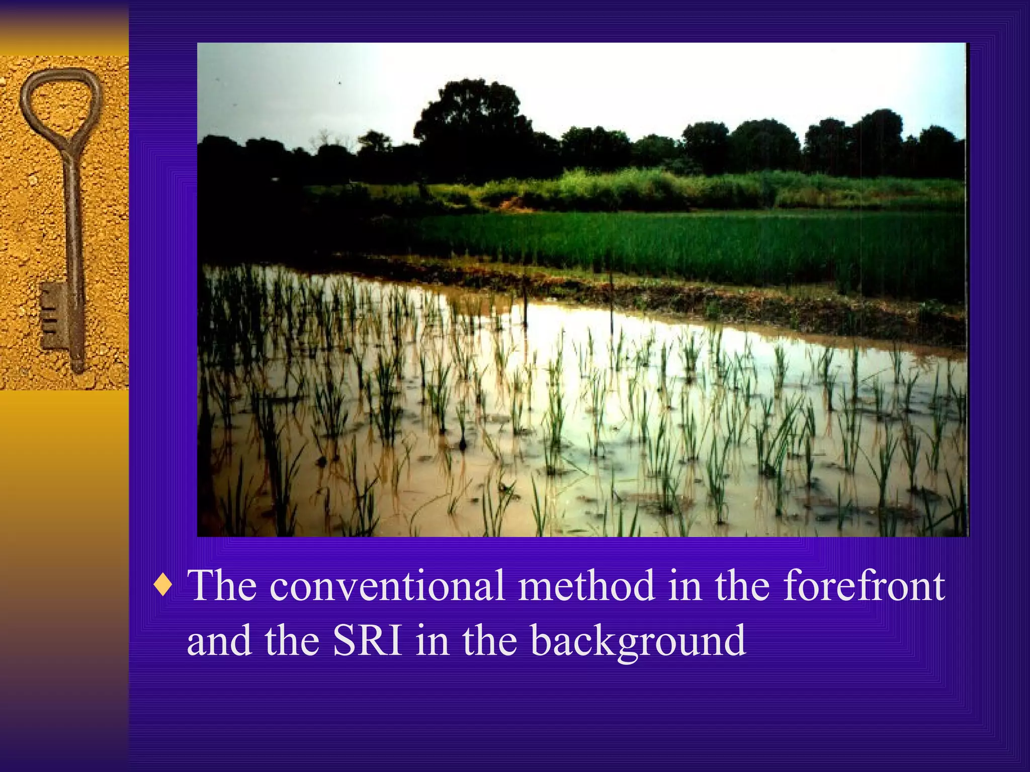 The conventional method in the forefront and the SRI in the background 