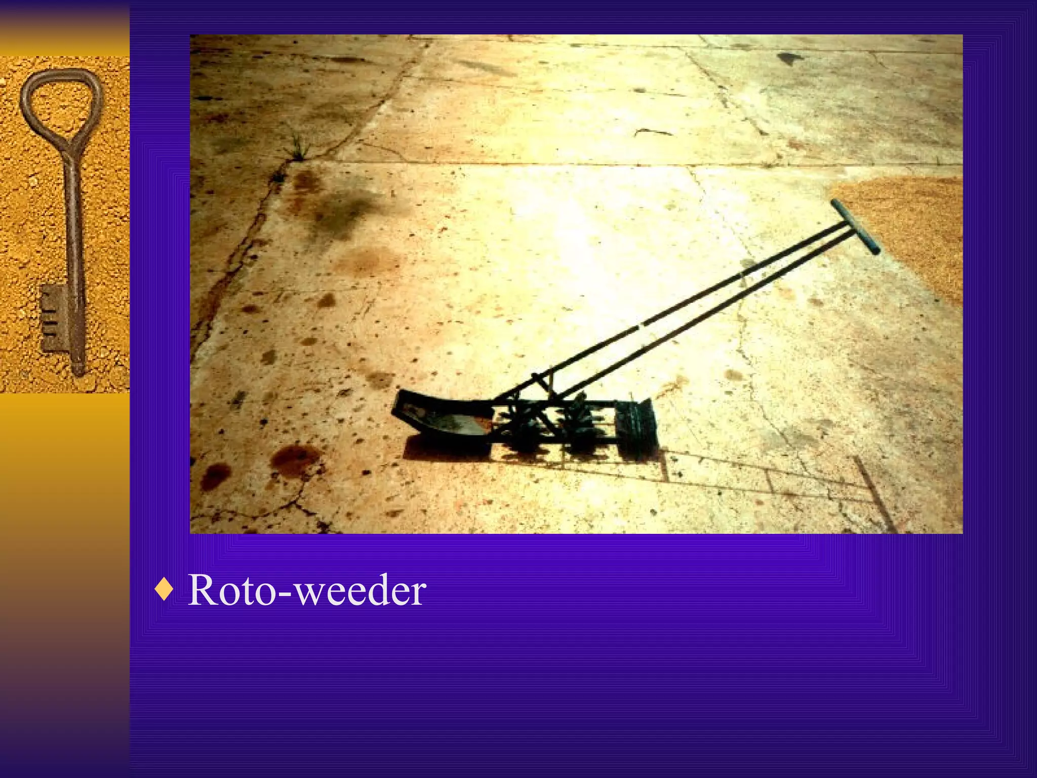Roto-weeder 