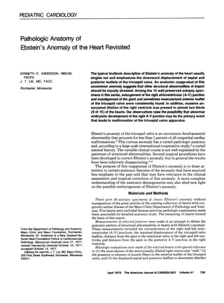 PEDIATRIC CARDIOLOGY
Pathologic Anatomy of
Ebstein’s Anomaly of the Heart Revisited
KENNETH I?. ANDERSON, MBChB,
FRCPA
J. T. LIE, MD, FACC
Rochester, Minnesota
The typical textbook descripfion of Ebstein’s anomaly of the heart usually
singles out and emphasizes the downward displacement of septal and
posterior leaflets of the tricuspid valve. An anatomic reappraisal of this
uncommon anomaly suggests that other structural abnormalltles of Import
should be equally stressed. Among the 15 well preserved autopsy spec-
imens in this series, enlargement of the rlght atrloventrkular (A-V) junction
and malalignment of the giant and sometimes muscularized anterior leaflet
of the tricuspid valve were consistently found. In addltion, massive an-
eurysmal dilation of the right ventricle was present in almost two thirds
(9 of 15) of the hearts. Our observations rake the posslblllty that abnormal
embryonic development of the right A-V junction may be the primary event
that leads to malformation of the tricuspid valve apparatus.
Ebstein’s anomaly of the tricuspid valve is an uncommon developmental
abnormality that accounts for less than 1 percent of all congenital cardiac
ma1formations.l This curious anomaly has a varied pathologic anatomy
and, according to a large scale international cooperative study,2 a varied
natural history. The variable clinical course is not well explained by the
spectrum of structural abnormalities. Several surgical procedures have
been developed to correct Ebstein’s anomaly, but in general the results
have been relatively disappointing.3-6
The purpose of this reappraisal of Ebstein’s anomaly is to draw at-
tention to certain anatomic features of the anomaly that have received
less emphasis in the past and that may have relevance in the clinical
assessment and surgical correction of this anomaly. A more complete
understanding of the anatomic derangements may also shed new light
on the possible embryogenesis of Ebstein’s anomaly.
Materials and Methods
From the Department of Pathology and Anatomy,
Mayo Clinic and Mayo Foundation. Rochester,
Minnesota. Dr. Anderson is a New Zealand Na-
tional Heart Foundation Fellow in Cardiovascular
Pathology. Manuscript received June 27, 1977;
revised manuscript received October 10, 1977,
accepted October 12, 1977.
Address for reprints: J. T. Lie, MD, Mayo Clinic,
200 First Street Southwest, Rochester, Minnesota
55901.
There were 20 autopsy specimens of classic Ebstein’s anomaly without
transposition of the great arteries in the existing collection of hearts with con-
genital cardiac disease of the Mayo Clinic Department of Pathology and Anat-
omy. Five hearts were excluded because previous pathologic examination made
them unsuitable for detailed anatomic study. The remaining 15 hearts formed
the basis of this report.
Measurements of selected features were made in an attempt to define the
anatomic pattern of structural abnormalities in hearts with Ebstein’s anomaly.
These measurements included the circumference of the right and left atrio-
ventricular (A-V) iunctions, the maximal displacement of the tricuspid valve
leaflets, distkce’fiom the apex to the semilunar valve in the right and left ven-
tricles and distance from the apex to the posterior A-V junction in the right
ventricle.
Histologic evaluations were made of the selected hearts with special reference
to (1) the musculature of the aneurysmally dilated right ventricular “wall,” (2)
the presence or absence of muscle fibers in the anterior leaflet of the tricuspid
valve, and (3) the displaced septal and posterior leaflets to determine whether
April 1978 The American Journal of CARDIOLOGY Volume 41 739
 