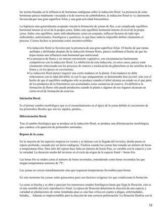 las teorías basadas en la influencia de hormonas endógenas sobre la inducción floral. La presencia de estas
hormonas parece totalmente vinculada a la de reservas de carbohidratos, la inducción floral se ve claramente
favorecida por una gran superficie foliar y una gran actividad fotosintética.
La hipótesis más generalmente aceptada vincula la formación de yemas de flor, a un complicado equilibrio
hormonal interno al nivel de la propia yema. Sobre este equilibrio hormonal interno al nivel de la propia
yema. Sobre este equilibrio, tanto individualmente como en conjunto, influyen factores de todo tipo:
ambientales, nutricionales, fisiológicos y genéticos, lo que hace todavía imposible definir claramente el
proceso. Ciertos hechos se presentan como incontrovertibles:
la inducción floral se favorece por la presencia de una gran superficie foliar. El hecho de que ramas
anilladas y defoliadas después de la inducción formen flores, parece confirmar el hecho de que las
hojas tienen una influencia más hormonal que nutricional.
•
La presencia de frutos y un intenso crecimiento vegetativo, son circunstancias fuertemente
competitivas con la inducción floral. La inhibición de esta inducción, en estos casos, parece estar
claramente relacionada con los procesos de síntesis y traslocación de giberelinas en las semillas de los
frutos y en los ápices en crecimiento.
•
La inducción floral parece requerir una cierta madurez en la planta. Esta madurez no debe
relacionarse con la edad del árbol, ni con lo que antiguamente se denominaba fase juvenil; sino con el
hecho de que el equilibrio endógeno sólo se produce cuando el árbol alcanza un estado en el que parte
de los productos de la fotosíntesis son acumulados como sustancias de reserva. En definitiva la
formación de flores sólo puede producirse cuando la planta o algunos de sus órganos alcanzan un
cierto nivel de formación de reservas.
•
Iniciación floral.
Es el primer cambio morfológico que es el ensanchamiento en el ápice de la yema debido al crecimiento de
los primordios florales que son los sépalos, pétalos,...
Diferenciación floral.
Tras el cambio fisiológico que se produce en la inducción floral, se produce una diferenciación morfológica
que conduce a la aparición de primordios seminales.
Reposo de la yema.
En la mayoría de las especies empieza en verano y se detiene con la llegada del invierno, donde pasan en
reposo profundo, causado por un factor endógeno. Finaliza cuando las yemas han tomado un número de horas
a temperaturas frías. Para salir del reposo hace falta un número de horas frías, es variable con la especie y con
la variedad. La duración media del invierno en el ciclo da origen de la especie frutal = horas frío.
Las horas frío se miden como el número de horas invernales, entendiendo como horas invernales las que
tengan temperaturas menores de 7ºC.
Las yemas no crecen inmediatamente sino que requieren temperaturas favorables para brotar.
En este momento las yemas están quiescentes pues son factores exógenos los que condicionan la brotación.
La yema se hincha y se abre y pasa por los numerosos estados fenológicos hasta que llega la floración, este es
el más sensible del ciclo reproductivo frutal. La época de floración determina la elección de una especie y
variedad en plantaciones de zonas templadas pues es una fase crítica en cuanto a plagas, enfermedades,
heladas,... Además es imprescindible para la elección de una correcta polinización. La floración finaliza con la
12
 