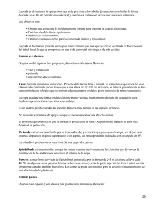 La poda es el conjunto de operaciones que se le practican a los árboles jóvenes para conferirles la forma
deseada con el fin de permitir una más fácil y económica realización de las intervenciones culturales.
Los objetivos son:
Obtener una estructura lo suficientemente robusta para soportar la cosecha sin roturas.•
Distribución de la fruta regularmente.•
Maximizar la iluminación.•
Facilitar el acceso al árbol para las labores de cultivo y recolección.•
La poda de formación presenta como gran inconveniente que hace que se retrase la entrada en fructificación
del árbol frutal, lo que se compensa con una vida comercial más larga, y de más calidad.
Formas en volumen.
Ocupan mucho espacio. Son propias de plantaciones extensivas. Destacan:
vaso y variaciones•
pirámide•
otras formas de eje centrado.•
Vaso: presenta numerosas variaciones. Procede de la forma libre o natural. La estructura esquelética del vaso
clásico está constituida por un tronco que a una altura de 50−100 cm del suelo, se bifurca generalmente en tres
ramas principales sobre las que se insertan adecuadamente terciadas, pisos sucesivos de ramas secundarias.
La copa adquiere una forma tendencialmente tronco−cónica, interiormente desnuda de vegetación para
facilitar la penetración de las radiaciones solares.
Es un sistema posible a todas las especies frutales, muy común en las especies de hueso.
No necesitan estructuras de apoyo, aunque a veces usan cañas para abrir las ramas.
El problema que presenta es que la entrada en producción es lenta. Ocupan mucho espacio, es para baja
densidad de población.
Pirámide: estructura constituida por un tronco derecho y vertical cuya guía supera la copa y en el que están
insertas, dispuestos en pisos superpuestos o en espiral, las ramas primarias inclinadas con un ángulo de 45º.
La entrada en producción es muy lenta. Se usa en peral y cerezo.
Spindelbush: es una pirámide, aunque las ramas se guían preferentemente horizontales para favorecer la
penetración de las radiaciones solares en el interior de la copa.
Fusseto: es una forma derivada de Spindelbush constituida por un tronco de 2−3 m de altura, q lleva cada
40−90 cm algunas ramas poco inclinadas; sobre estas ramas y sobre la parte superior del tronco están insertas
libremente cortadas ramillas fructíferas. Los costes de poda son mínimos pero es costoso el mantenimiento de
una alta densidad e plantación.
Formas planas.
Ocupan poco espacio y son ideales para plantaciones intensivas. Destacan:
29
 
