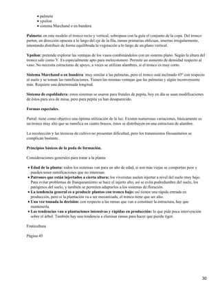 palmeta•
ypsilon•
sistema Marchand o en bandera•
Palmeta: en este modelo el tronco recto y vertical, sobrepasa con la guía el conjunto de la copa. Del tronco
parten, en dirección opuesta a lo largo del eje de la fila, ramas primarias oblicuas, insertas irregularmente,
intentando distribuir de forma equilibrada la vegetación a lo largo de un plano vertical.
Ypsilon: pretende explorar las ventajas de los vasos combinándolos con un sistema plano. Según la altura del
tronco sale como Y. Es especialmente apto para melocotonero. Permite un aumento de densidad respecto al
vaso. No necesita estructuras de apoyo, a veces se utilizan alambres, si el tronco es muy corto.
Sistema Marchand o en bandera: muy similar a las palmetas, pero el tronco está inclinado 45º con respecto
al suelo y se toman las ramificaciones. Tienen las mismas ventajas que las palmetas y algún inconveniente
más. Requiere una determinada longitud.
Sistema de espaldadera: estos sistemas se usaron para frutales de pepita, hoy en día se usan modificaciones
de éstos para uva de mesa, pero para pepita ya han desaparecido.
Formas especiales.
Parral: tiene como objetivo una óptima utilización de la luz. Existen numerosas variaciones, básicamente es
un tronco muy alto que se ramifica en cuatro brazos, éstos se distribuyen en una estructura de alambre.
La recolección y las técnicas de cultivo no presentan dificultad, pero los tratamientos fitosanitarios se
complican bastante.
Principios básicos de la poda de formación.
Consideraciones generales para tratar a la planta:
Edad de la planta: todos los sistemas van para un año de edad, si son más viejas se comportan peor y
pueden tener ramificaciones que no interesan.
•
Patrones que están injertados a cierta altura: los viveristas suelen injertar a nivel del suelo muy bajo.
Para evitar problemas de franqueamiento se hace el injerto alto, así se evita podredumbre del suelo, los
patógenos del suelo, y también se permiten adaptarlos a los sistemas de floración.
•
La tendencia general es a producir plantas con tronco bajo: así tienen una rápida entrada en
producción, pero si la plantación va a ser mecanizada, el tronco tiene que ser alto.
•
Una vez tomada la decisión: con respecto a las ramas que van a constituir la estructura, hay que
mantenerla.
•
Las tendencias van a plantaciones intensivas y rápidas en producción: lo que pide poca intervención
sobre el árbol. También hay una tendencia a eliminar ramas para hacer que pierda rigor.
•
Fruticultura
Página 45
30
 