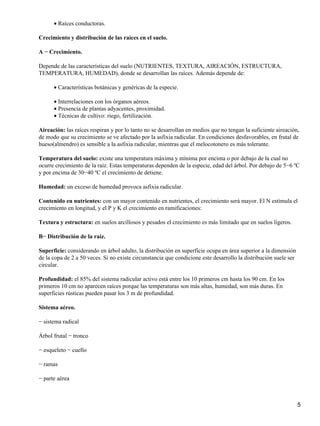 Raíces conductoras.•
Crecimiento y distribución de las raíces en el suelo.
A − Crecimiento.
Depende de las características del suelo (NUTRIENTES, TEXTURA, AIREACIÓN, ESTRUCTURA,
TEMPERATURA, HUMEDAD), donde se desarrollan las raíces. Además depende de:
Características botánicas y genéricas de la especie.•
Interrelaciones con los órganos aéreos.•
Presencia de plantas adyacentes, proximidad.•
Técnicas de cultivo: riego, fertilización.•
Aireación: las raíces respiran y por lo tanto no se desarrollan en medios que no tengan la suficiente aireación,
de modo que su crecimiento se ve afectado por la asfixia radicular. En condiciones desfavorables, en frutal de
hueso(almendro) es sensible a la asfixia radicular, mientras que el melocotonero es más tolerante.
Temperatura del suelo: existe una temperatura máxima y mínima por encima o por debajo de la cual no
ocurre crecimiento de la raíz. Estas temperaturas dependen de la especie, edad del árbol. Por debajo de 5−6 ºC
y por encima de 30−40 ºC el crecimiento de detiene.
Humedad: un exceso de humedad provoca asfixia radicular.
Contenido en nutrientes: con un mayor contenido en nutrientes, el crecimiento será mayor. El N estimula el
crecimiento en longitud, y el P y K el crecimiento en ramificaciones:
Textura y estructura: en suelos arcillosos y pesados el crecimiento es más limitado que en suelos ligeros.
B− Distribución de la raíz.
Superficie: considerando en árbol adulto, la distribución en superficie ocupa en área superior a la dimensión
de la copa de 2 a 50 veces. Si no existe circunstancia que condicione este desarrollo la distribución suele ser
circular.
Profundidad: el 85% del sistema radicular activo está entre los 10 primeros cm hasta los 90 cm. En los
primeros 10 cm no aparecen raíces porque las temperaturas son más altas, humedad, son más duras. En
superficies rústicas pueden pasar los 3 m de profundidad.
Sistema aéreo.
− sistema radical
Árbol frutal − tronco
− esqueleto − cuello
− ramas
− parte aérea
5
 