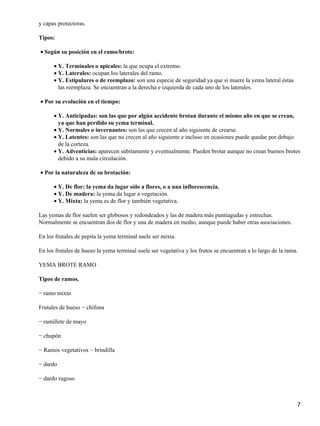y capas protectoras.
Tipos:
Según su posición en el ramo/brote:•
Y. Terminales o apicales: la que ocupa el extremo.•
Y. Laterales: ocupan los laterales del ramo.•
Y. Estipulares o de reemplazo: son una especie de seguridad ya que si muere la yema lateral éstas
las reemplaza. Se encuentran a la derecha e izquierda de cada uno de los laterales.
•
Por su evolución en el tiempo:•
Y. Anticipadas: son las que por algún accidente brotan durante el mismo año en que se crean,
ya que han perdido su yema terminal.
•
Y. Normales o invernantes: son las que crecen al año siguiente de crearse.•
Y. Latentes: son las que no crecen al año siguiente e incluso en ocasiones puede quedar por debajo
de la corteza.
•
Y. Adventicias: aparecen súbitamente y eventualmente. Pueden brotar aunque no crean buenos brotes
debido a su mala circulación.
•
Por la naturaleza de su brotación:•
Y. De flor: la yema da lugar sólo a flores, o a una inflorescencia.•
Y. De madera: la yema da lugar a vegetación.•
Y. Mixta: la yema es de flor y también vegetativa.•
Las yemas de flor suelen ser globosos y redondeados y las de madera más puntiagudas y estrechas.
Normalmente se encuentran dos de flor y una de madera en medio, aunque puede haber otras asociaciones.
En los frutales de pepita la yema terminal suele ser mixta.
En los frutales de hueso la yema terminal suele ser vegetativa y los frutos se encuentran a lo largo de la rama.
YEMA BROTE RAMO
Tipos de ramos.
− ramo mixto
Frutales de hueso − chifona
− ramillete de mayo
− chupón
− Ramos vegetativos − brindilla
− dardo
− dardo rugoso
7
 