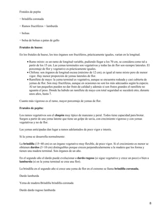 Frutales de pepita
− brindilla coronada
− Ramos fructíferos − lamburda
− bolsas
− bolsa de bolsas o patas de gallo
Frutales de hueso:
En los frutales de hueso, los tres órganos son fructíferos, prácticamente iguales, varían en la longitud.
Ramo mixto: es un ramo de longitud variable, pudiendo llegar a los 70 cm, se considera como tal a
partir de los 15 cm. Las yemas terminales son vegetativas y todas las de flor son siempre laterales. El
porcentaje de flor y vegetativo es prácticamente iguales.
•
Chifona: son órganos de longitud escasa (máximo de 12 cm), es igual al ramo mixto pero de menor
vigor. Hay menor proporción de yemas laterales de flor.
•
Ramillete de mayo: la yema terminal es vegetativa, aunque se encuentra rodeada y casi cubierta de
yemas de flor. Son muy fructíferas, aunque en ocasiones no son los más adecuados según la especie.
Al ser tan pequeños pueden no dar fruto de calidad y además si son frutos grandes el ramillete no
aguanta el peso. Donde ha habido un ramillete de mayo con total seguridad se sucederá otro, durante
unos años, hasta 7.
•
Cuanto más vigoroso es el ramo, mayor porcentaje de yemas de flor.
Frutales de pepita:
Los ramos vegetativos son el chupón muy típico de manzano y peral. Todos tiene capacidad para brotar.
Surgen a partir de una yema latente que tiene un golpe de savia, con crecimiento vigoroso y con yemas
vegetativas y no de flor.
Las yemas anticipadas dan lugar a ramos adelantados de poco vigor e interés.
Si la yema se desarrolla normalmente:
La brindilla (15−40 cm) es un órgano vegetativo muy flexible, de poco vigor. Si el crecimiento es menor se
obtienen dardos (3−10 cm) distinguibles porque crecen perpendicularmente a la madera que los forma y
tienen una madera terminal. Son órganos de un año.
En el segundo año el dardo puede evolucionar a dardo rugoso (si sigue vegetativo y crece un poco) o bien a
lamburda (si en la yema terminal se crea una flor).
La brindilla en el segundo año si crece una yema de flor en el extremo se llama brindilla coronada.
Dardo lamburda
Yema de madera Brindilla brindilla coronada
Dardo dardo rugoso lamburda
8
 