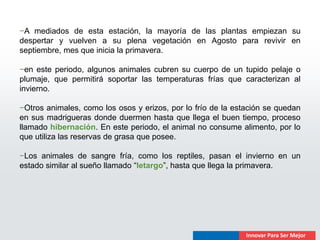 −A mediados de esta estación, la mayoría de las plantas empiezan su
despertar y vuelven a su plena vegetación en Agosto para revivir en
septiembre, mes que inicia la primavera.

−en este periodo, algunos animales cubren su cuerpo de un tupido pelaje o
plumaje, que permitirá soportar las temperaturas frías que caracterizan al
invierno.

−Otros animales, como los osos y erizos, por lo frío de la estación se quedan
en sus madrigueras donde duermen hasta que llega el buen tiempo, proceso
llamado hibernación. En este periodo, el animal no consume alimento, por lo
que utiliza las reservas de grasa que posee.

−Los animales de sangre fría, como los reptiles, pasan el invierno en un
estado similar al sueño llamado “letargo”, hasta que llega la primavera.
 
