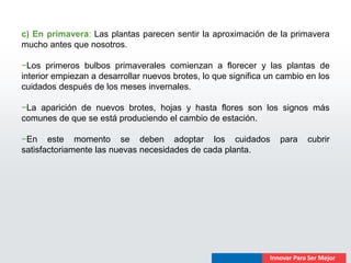 c) En primavera: Las plantas parecen sentir la aproximación de la primavera
mucho antes que nosotros.

−Los primeros bulbos primaverales comienzan a florecer y las plantas de
interior empiezan a desarrollar nuevos brotes, lo que significa un cambio en los
cuidados después de los meses invernales.

−La aparición de nuevos brotes, hojas y hasta flores son los signos más
comunes de que se está produciendo el cambio de estación.

−En este momento se deben adoptar los cuidados                     para   cubrir
satisfactoriamente las nuevas necesidades de cada planta.
 