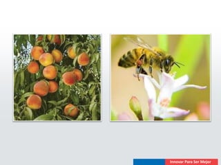 000333 las estaciones