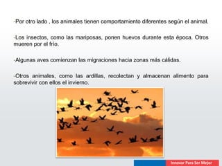 -Por otro lado , los animales tienen comportamiento diferentes según el animal.

-Los insectos, como las mariposas, ponen huevos durante esta época. Otros
mueren por el frío.

-Algunas aves comienzan las migraciones hacia zonas más cálidas.

-Otros animales, como las ardillas, recolectan y almacenan alimento para
sobrevivir con ellos el invierno.
 