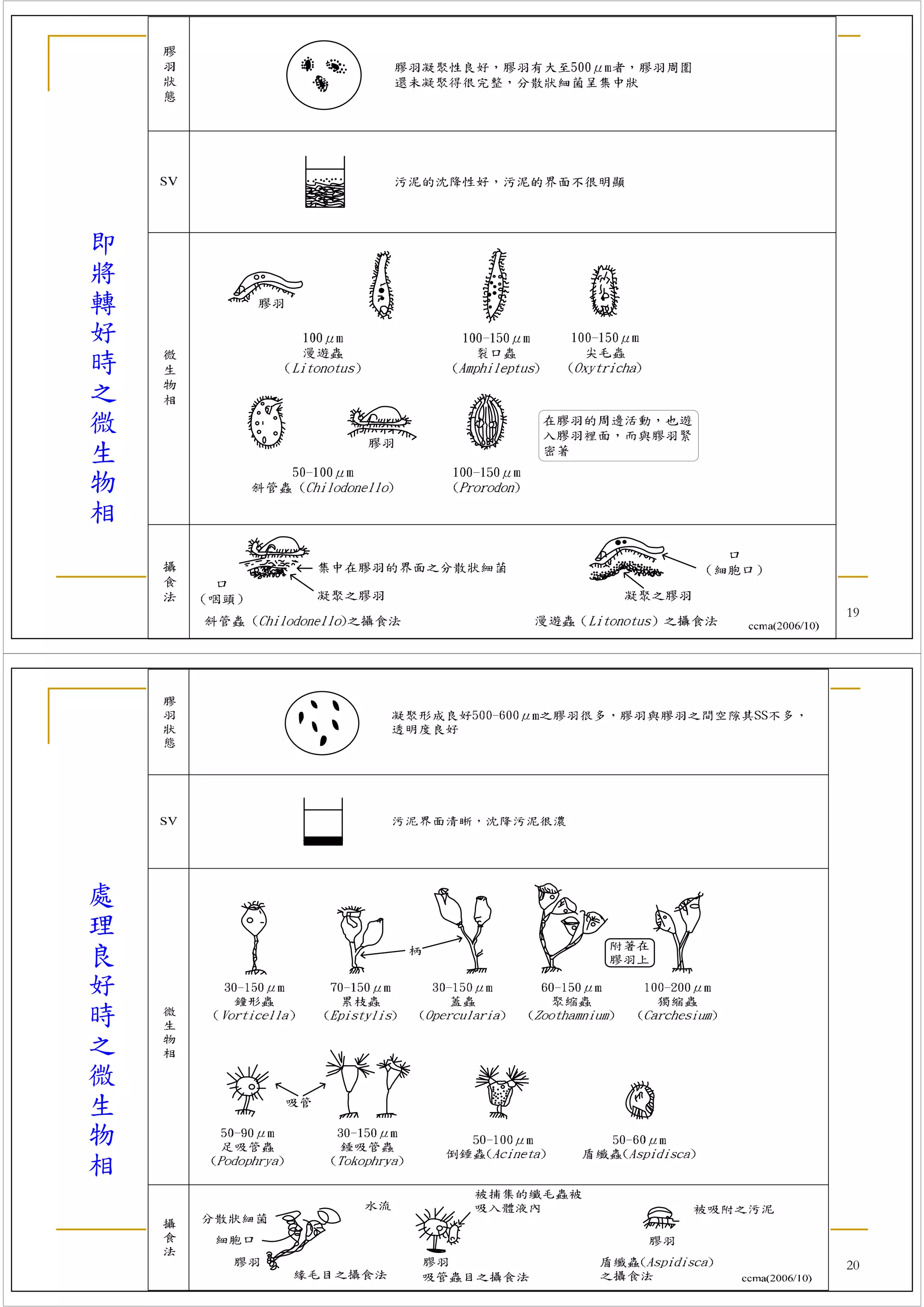 即
將
轉
好
時
之
微
生
物
相

    桃園縣大專院校產業環保技術服務團 簡報資料
                            19




處
理
良
好
時
之
微
生
物
相

    桃園縣大專院校產業環保技術服務團 簡報資料
                            20
 