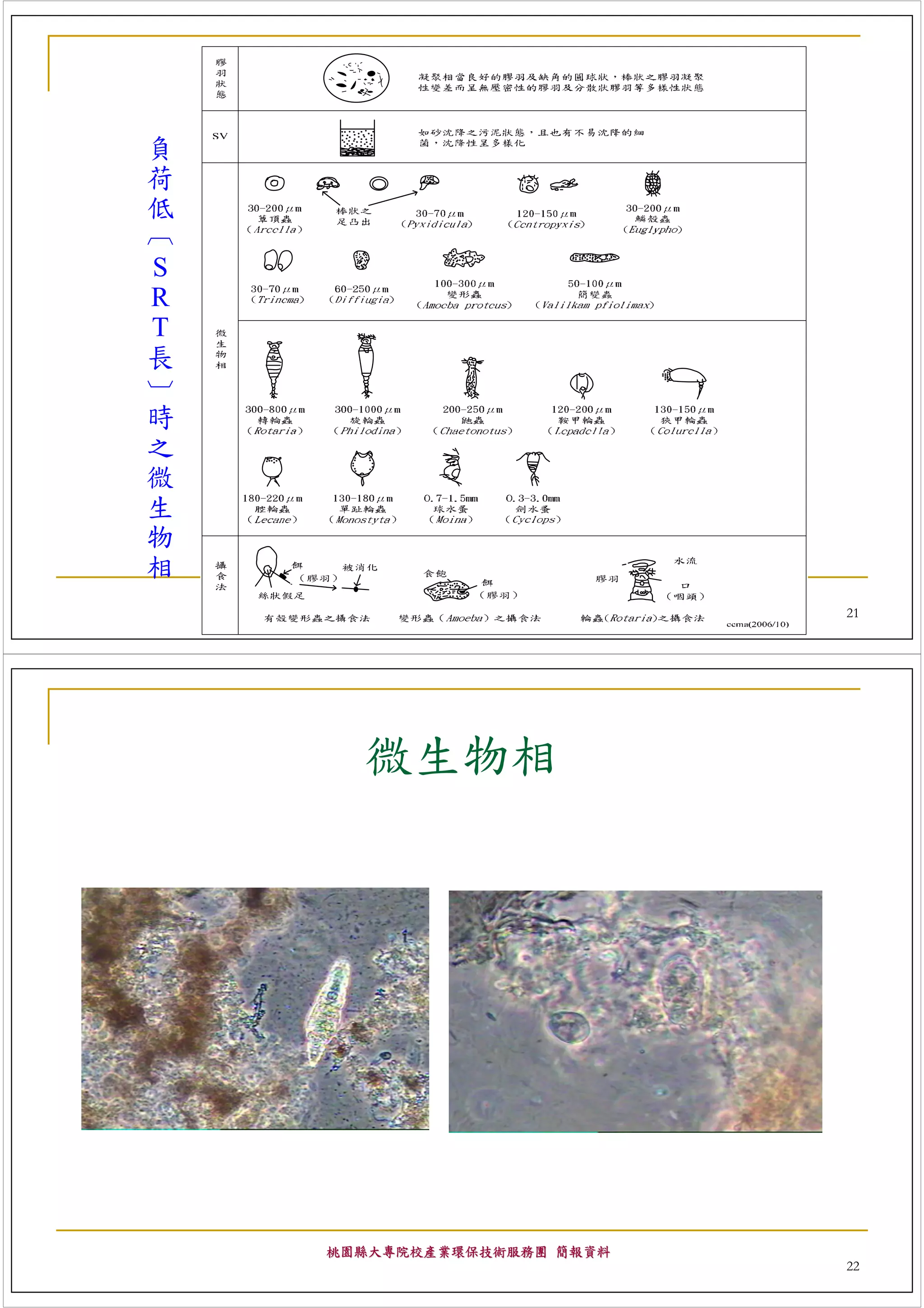 負
荷
低
︹
S
R
T
長
︺
時
之
微
生
物
相
    桃園縣大專院校產業環保技術服務團 簡報資料
                            21




      微生物相




    桃園縣大專院校產業環保技術服務團 簡報資料
                            22
 