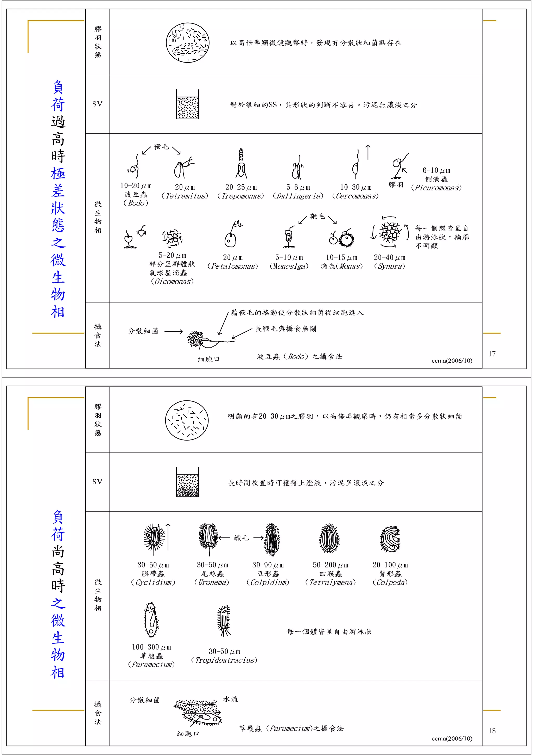 負
荷
過
高
時
極
差
狀
態
之
微
生
物
相
    桃園縣大專院校產業環保技術服務團 簡報資料
                            17




負
荷
尚
高
時
之
微
生
物
相


    桃園縣大專院校產業環保技術服務團 簡報資料
                            18
 