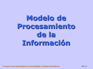 Modelo de
Procesamiento
de la
Información

Procesos Neuropsicológicos de Aprendizaje y Modelos Educativos

U2 / 1

 