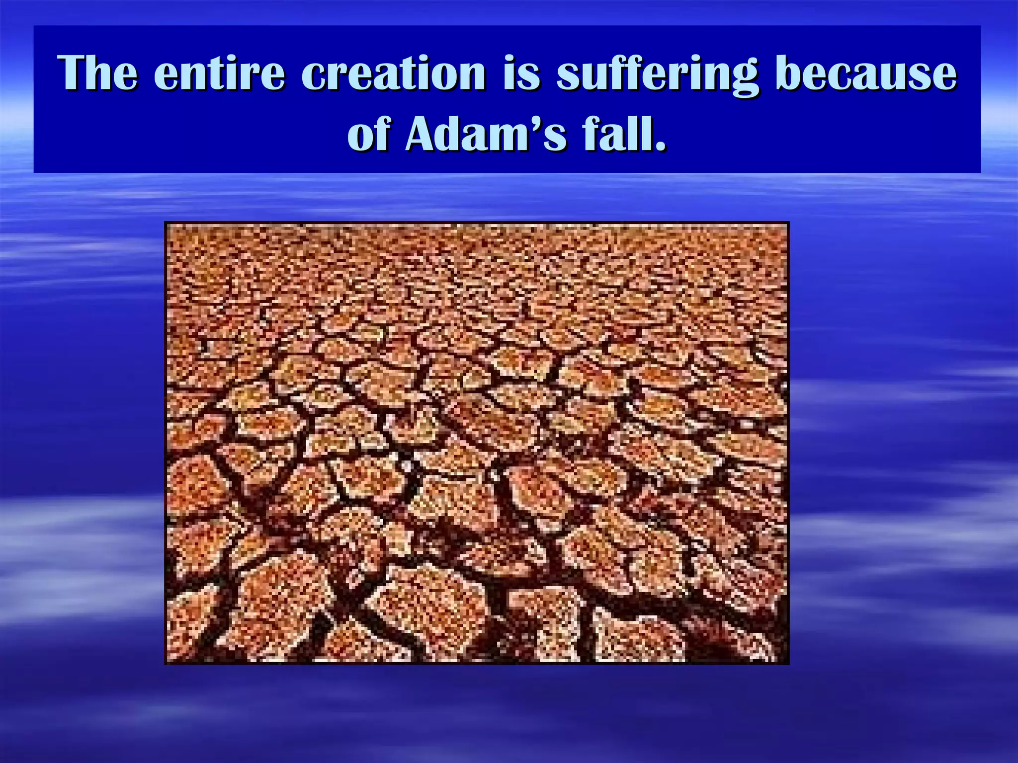 The entire creation is suffering because of Adam’s fall. 