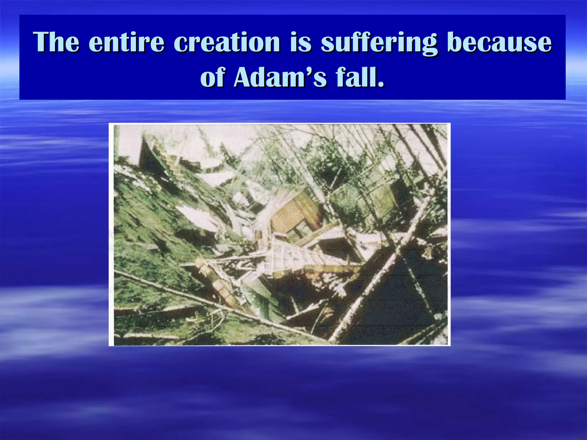 The entire creation is suffering because of Adam’s fall. 