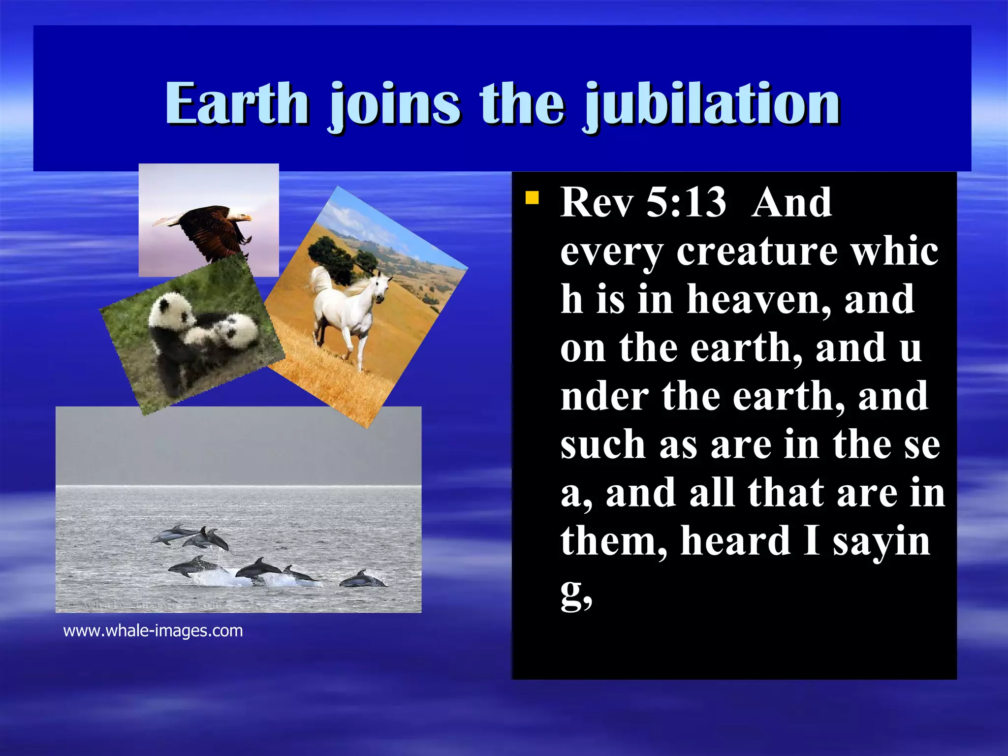 Earth joins the jubilation Rev 5:13  And every creature which is in heaven, and on the earth, and under the earth, and such as are in the sea, and all that are in them, heard I saying,  www.whale-images.com 