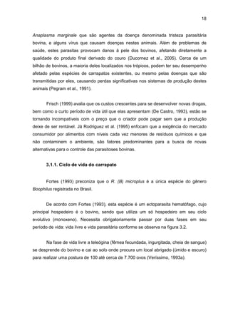 18
Anaplasma marginale que são agentes da doença denominada tristeza parasitária
bovina, e alguns vírus que causam doenças nestes animais. Além de problemas de
saúde, estes parasitas provocam danos à pele dos bovinos, afetando diretamente a
qualidade do produto final derivado do couro (Ducornez et al., 2005). Cerca de um
bilhão de bovinos, a maioria deles localizados nos trópicos, podem ter seu desempenho
afetado pelas espécies de carrapatos existentes, ou mesmo pelas doenças que são
transmitidas por eles, causando perdas significativas nos sistemas de produção destes
animais (Pegram et al., 1991).
Frisch (1999) avalia que os custos crescentes para se desenvolver novas drogas,
bem como o curto período de vida útil que elas apresentam (De Castro, 1993), estão se
tornando incompatíveis com o preço que o criador pode pagar sem que a produção
deixe de ser rentável. Já Rodriguez et al. (1995) enfocam que a exigência do mercado
consumidor por alimentos com níveis cada vez menores de resíduos químicos e que
não contaminem o ambiente, são fatores predominantes para a busca de novas
alternativas para o controle das parasitoses bovinas.
3.1.1. Ciclo de vida do carrapato
Fortes (1993) preconiza que o R. (B) microplus é a única espécie do gênero
Boophilus registrada no Brasil.
De acordo com Fortes (1993), esta espécie é um ectoparasita hematófago, cujo
principal hospedeiro é o bovino, sendo que utiliza um só hospedeiro em seu ciclo
evolutivo (monoxeno). Necessita obrigatoriamente passar por duas fases em seu
período de vida: vida livre e vida parasitária conforme se observa na figura 3.2.
Na fase de vida livre a teleógina (fêmea fecundada, ingurgitada, cheia de sangue)
se desprende do bovino e cai ao solo onde procura um local abrigado (úmido e escuro)
para realizar uma postura de 100 até cerca de 7.700 ovos (Veríssimo, 1993a).
 