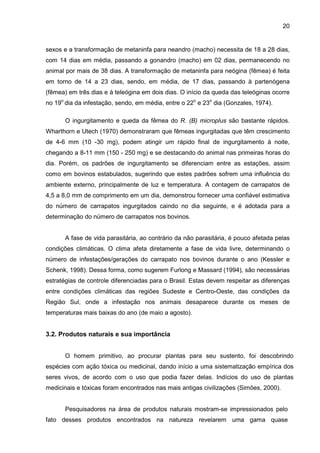 20
sexos e a transformação de metaninfa para neandro (macho) necessita de 18 a 28 dias,
com 14 dias em média, passando a gonandro (macho) em 02 dias, permanecendo no
animal por mais de 38 dias. A transformação de metaninfa para neógina (fêmea) é feita
em torno de 14 a 23 dias, sendo, em média, de 17 dias, passando à partenógena
(fêmea) em três dias e à teleógina em dois dias. O início da queda das teleóginas ocorre
no 19o
dia da infestação, sendo, em média, entre o 22o
e 23o
dia (Gonzales, 1974).
O ingurgitamento e queda da fêmea do R. (B) microplus são bastante rápidos.
Wharthorn e Utech (1970) demonstraram que fêmeas ingurgitadas que têm crescimento
de 4-6 mm (10 -30 mg), podem atingir um rápido final de ingurgitamento à noite,
chegando a 8-11 mm (150 - 250 mg) e se destacando do animal nas primeiras horas do
dia. Porém, os padrões de ingurgitamento se diferenciam entre as estações, assim
como em bovinos estabulados, sugerindo que estes padrões sofrem uma influência do
ambiente externo, principalmente de luz e temperatura. A contagem de carrapatos de
4,5 a 8,0 mm de comprimento em um dia, demonstrou fornecer uma confiável estimativa
do número de carrapatos ingurgitados caindo no dia seguinte, e é adotada para a
determinação do número de carrapatos nos bovinos.
A fase de vida parasitária, ao contrário da não parasitária, é pouco afetada pelas
condições climáticas. O clima afeta diretamente a fase de vida livre, determinando o
número de infestações/gerações do carrapato nos bovinos durante o ano (Kessler e
Schenk, 1998). Dessa forma, como sugerem Furlong e Massard (1994), são necessárias
estratégias de controle diferenciadas para o Brasil. Estas devem respeitar as diferenças
entre condições climáticas das regiões Sudeste e Centro-Oeste, das condições da
Região Sul, onde a infestação nos animais desaparece durante os meses de
temperaturas mais baixas do ano (de maio a agosto).
3.2. Produtos naturais e sua importância
O homem primitivo, ao procurar plantas para seu sustento, foi descobrindo
espécies com ação tóxica ou medicinal, dando início a uma sistematização empírica dos
seres vivos, de acordo com o uso que podia fazer delas. Indícios do uso de plantas
medicinais e tóxicas foram encontrados nas mais antigas civilizações (Simões, 2000).
Pesquisadores na área de produtos naturais mostram-se impressionados pelo
fato desses produtos encontrados na natureza revelarem uma gama quase
 