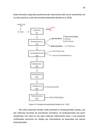 28
Esses derivados oxigenados geralmente são responsáveis pelo aroma característico de
um óleo essencial, e são denominados terpenóides (Serafini et al. 2002).
Figura 3.4. Formação dos terpenóides (Robbers et al., 1997).
Nos óleos essenciais também estão presentes os fenilpropanóides simples, que
são moléculas derivadas de aminoácidos aromáticos. Os fenilpropanóides são assim
classificados com base em seu peso molecular relativamente baixo, e nas pequenas
modificações estruturais em relação aos intermediários da biossíntese dos demais
fenilpropanóides.
 