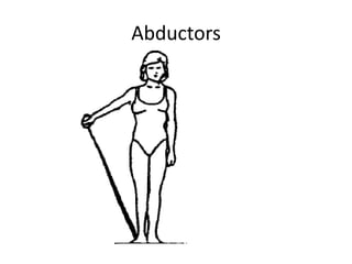Abductors
 