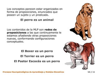 Los conceptos parecen estar organizados en
forma de proposiciones, enunciados que
poseen un sujeto y un predicado.

El perro es un animal
Los contenidos de la MLP son redes de
proposiciones a las que continuamente le
estamos añadiendo otras proposiciones
nuevas, conformando configuraciones
conceptuales.

El Boxer es un perro
El Terrier es un perro
El Pastor Escocés es un perro

Procesos Neuropsicológicos de Aprendizaje y Modelos Educativos

U2 / 11

 