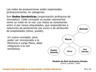 Las redes de proposiciones están organizadas
jerárquicamente, en categorías.
Son Redes Semánticas (organización jerárquica de
conceptos). Cada concepto se puede representar
como un nodo en la red. Los nodos se conectarían
entre sí por nexos etiquetados, que responderían a
relaciones de pertenencia (es un/a) o de atribución
de propiedades (tiene, puede).
Un nuevo concepto, para
poder ser incorporado a la
Memoria a Largo Plazo, debe
integrarse a la red
semántica.

Animal

Perro

Pastor
Alemán

Boxer

Fox
Terrier

Modelo de Red Jerárquica Simple.
(Collins y Quillian, 1969)

Procesos Neuropsicológicos de Aprendizaje y Modelos Educativos

U2 / 12

 