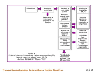 Procesos Neuropsicológicos de Aprendizaje y Modelos Educativos

U2 / 17

 