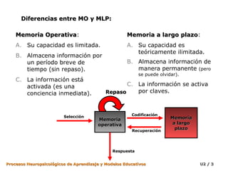 Diferencias entre MO y MLP:
Memoria Operativa:
Operativa

Memoria a largo plazo:
plazo

A. Su capacidad es limitada.

A. Su capacidad es
teóricamente ilimitada.

B. Almacena información por
un período breve de
tiempo (sin repaso).
C. La información está
activada (es una
conciencia inmediata).

Selección

B. Almacena información de
manera permanente (pero
se puede olvidar).

C. La información se activa
por claves.
Repaso

Memoria
operativa

Codificación

Recuperación

Memoria
a largo
plazo

Respuesta
Procesos Neuropsicológicos de Aprendizaje y Modelos Educativos

U2 / 3

 