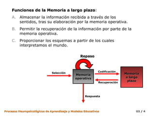 Funciones de la Memoria a largo plazo:
plazo
A. Almacenar la información recibida a través de los
sentidos, tras su elaboración por la memoria operativa.
B. Permitir la recuperación de la información por parte de la
memoria operativa.
C. Proporcionar los esquemas a partir de los cuales
interpretamos el mundo.
Repaso

Selección

Memoria
operativa

Codificación

Recuperación

Memoria
a largo
plazo

Respuesta

Procesos Neuropsicológicos de Aprendizaje y Modelos Educativos

U2 / 4

 