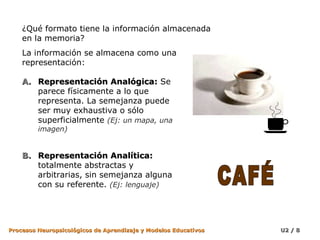 ¿Qué formato tiene la información almacenada
en la memoria?
La información se almacena como una
representación:
A. Representación Analógica: Se
parece físicamente a lo que
representa. La semejanza puede
ser muy exhaustiva o sólo
superficialmente (Ej: un mapa, una
imagen)

B. Representación Analítica:
totalmente abstractas y
arbitrarias, sin semejanza alguna
con su referente. (Ej: lenguaje)

Procesos Neuropsicológicos de Aprendizaje y Modelos Educativos

U2 / 8

 