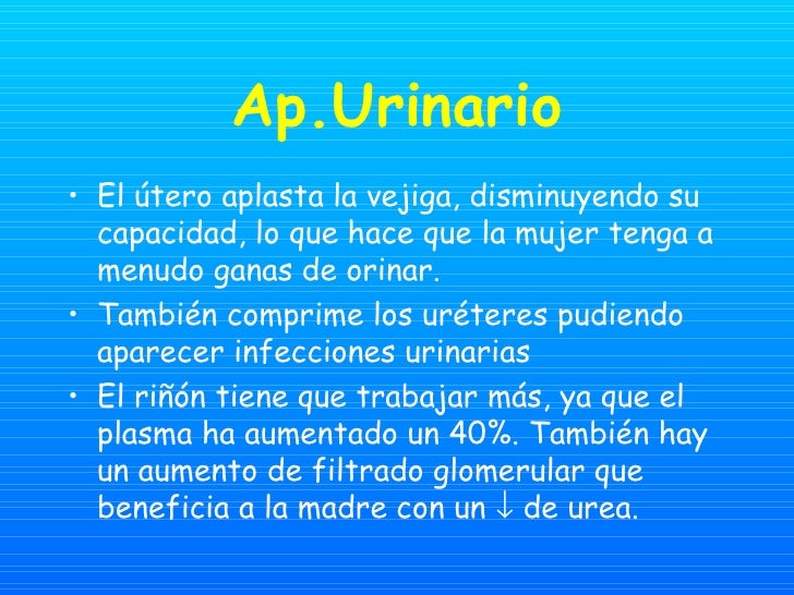 El pecho hermoso pequeño