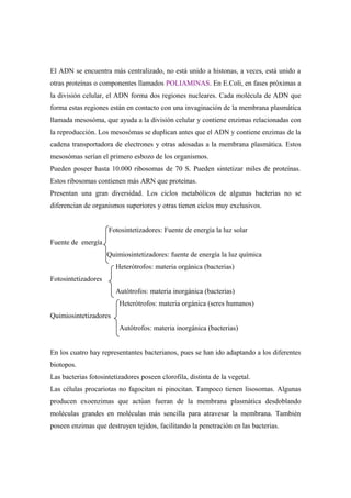El ADN se encuentra más centralizado, no está unido a histonas, a veces, está unido a
otras proteínas o componentes llamados POLIAMINAS. En E.Coli, en fases próximas a
la división celular, el ADN forma dos regiones nucleares. Cada molécula de ADN que
forma estas regiones están en contacto con una invaginación de la membrana plasmática
llamada mesosóma, que ayuda a la división celular y contiene enzimas relacionadas con
la reproducción. Los mesosómas se duplican antes que el ADN y contiene enzimas de la
cadena transportadora de electrones y otras adosadas a la membrana plasmática. Estos
mesosómas serían el primero esbozo de los organismos.
Pueden poseer hasta 10.000 ribosomas de 70 S. Pueden sintetizar miles de proteínas.
Estos ribosomas contienen más ARN que proteínas.
Presentan una gran diversidad. Los ciclos metabólicos de algunas bacterias no se
diferencian de organismos superiores y otras tienen ciclos muy exclusivos.
Fotosintetizadores: Fuente de energía la luz solar
Fuente de energía
Quimiosintetizadores: fuente de energía la luz química
Heterótrofos: materia orgánica (bacterias)
Fotosintetizadores
Autótrofos: materia inorgánica (bacterias)
Heterótrofos: materia orgánica (seres humanos)
Quimiosintetizadores
Autótrofos: materia inorgánica (bacterias)
En los cuatro hay representantes bacterianos, pues se han ido adaptando a los diferentes
biotopos.
Las bacterias fotosintetizadores poseen clorofila, distinta de la vegetal.
Las células procariotas no fagocitan ni pinocitan. Tampoco tienen lisosomas. Algunas
producen exoenzimas que actúan fueran de la membrana plasmática desdoblando
moléculas grandes en moléculas más sencilla para atravesar la membrana. También
poseen enzimas que destruyen tejidos, facilitando la penetración en las bacterias.
 