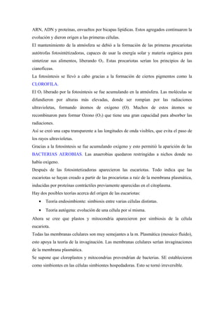 ARN, ADN y proteínas, envueltos por bicapas lipídicas. Estos agregados continuaron la
evolución y dieron origen a las primeras células.
El mantenimiento de la atmósfera se debió a la formación de las primeras procariotas
autótrofas fotosintétizadoras, capaces de usar la energía solar y materia orgánica para
sintetizar sus alimentos, liberando O2. Estas procariotas serían los principios de las
cianofíceas.
La fotosíntesis se llevó a cabo gracias a la formación de ciertos pigmentos como la
CLOROFILA.
El O2 liberado por la fotosíntesis se fue acumulando en la atmósfera. Las moléculas se
difundieron por alturas más elevadas, donde ser rompían por las radiaciones
ultravioletas, formando átomos de oxígeno (O). Muchos de estos átomos se
recombinaron para formar Ozono (O3) que tiene una gran capacidad para absorber las
radiaciones.
Así se creó una capa transparente a las longitudes de onda visibles, que evita el paso de
los rayos ultravioletas.
Gracias a la fotosíntesis se fue acumulando oxígeno y esto permitió la aparición de las
BACTERIAS AEROBIAS. Las anaerobias quedaron restringidas a nichos donde no
había oxígeno.
Después de las fotosintetizadoras aparecieron las eucariotas. Todo indica que las
eucariotas se hayan creado a partir de las procariotas a raíz de la membrana plasmática,
inducidas por proteínas contráctiles previamente aparecidas en el citoplasma.
Hay dos posibles teorías acerca del origen de las eucariotas:
• Teoría endosimbionte: simbiosis entre varias células distintas.
• Teoría autógena: evolución de una célula por sí misma.
Ahora se cree que plastos y mitocondria aparecieron por simbiosis de la célula
eucariota.
Todas las membranas celulares son muy semejantes a la m. Plasmática (mosaico fluido),
esto apoya la teoría de la invaginación. Las membranas celulares serían invaginaciones
de la membrana plasmática.
Se supone que cloroplastos y mitocondrias provendrían de bacterias. SE establecieron
como simbiontes en las células simbiontes hospedadoras. Esto se tornó irreversible.
 