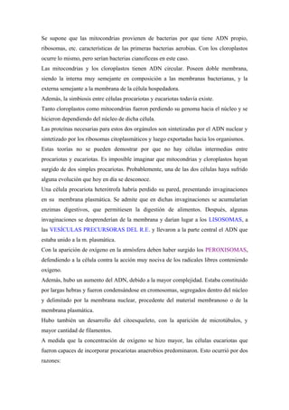 Se supone que las mitocondrias provienen de bacterias por que tiene ADN propio,
ribosomas, etc. características de las primeras bacterias aerobias. Con los cloroplastos
ocurre lo mismo, pero serían bacterias cianofíceas en este caso.
Las mitocondrias y los cloroplastos tienen ADN circular. Poseen doble membrana,
siendo la interna muy semejante en composición a las membranas bacterianas, y la
externa semejante a la membrana de la célula hospedadora.
Además, la simbiosis entre células procariotas y eucariotas todavía existe.
Tanto cloroplastos como mitocondrias fueron perdiendo su genoma hacia el núcleo y se
hicieron dependiendo del núcleo de dicha célula.
Las proteínas necesarias para estos dos orgánulos son sintetizadas por el ADN nuclear y
sintetizado por los ribosomas citoplasmáticos y luego exportadas hacia los organismos.
Estas teorías no se pueden demostrar por que no hay células intermedias entre
procariotas y eucariotas. Es imposible imaginar que mitocondrias y cloroplastos hayan
surgido de dos simples procariotas. Probablemente, una de las dos células haya sufrido
alguna evolución que hoy en día se desconoce.
Una célula procariota heterótrofa habría perdido su pared, presentando invaginaciones
en su membrana plasmática. Se admite que en dichas invaginaciones se acumularían
enzimas digestivos, que permitiesen la digestión de alimentos. Después, algunas
invaginaciones se desprenderían de la membrana y darían lugar a los LISOSOMAS, a
las VESÍCULAS PRECURSORAS DEL R.E. y llevaron a la parte central el ADN que
estaba unido a la m. plasmática.
Con la aparición de oxígeno en la atmósfera deben haber surgido los PEROXISOMAS,
defendiendo a la célula contra la acción muy nociva de los radicales libres conteniendo
oxígeno.
Además, hubo un aumento del ADN, debido a la mayor complejidad. Estaba constituido
por largas hebras y fueron condensándose en cromosomas, segregados dentro del núcleo
y delimitado por la membrana nuclear, procedente del material membranoso o de la
membrana plasmática.
Hubo también un desarrollo del citoesqueleto, con la aparición de microtúbulos, y
mayor cantidad de filamentos.
A medida que la concentración de oxígeno se hizo mayor, las células eucariotas que
fueron capaces de incorporar procariotas anaerobios predominaron. Esto ocurrió por dos
razones:
 