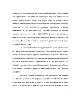 preponderante na decomposição de substratos vegetais (Raven 2004). A maioria

das espécies forma uma frutificação macroscópica, com hifas modificadas que

originam pseudo-tecidos e diferem dos demais fungos por produzir esporos

chamados de basidiósporos formados nos ápices de prolongamentos chamados

esterigmas,    em   uma   estrutura   de   reprodução   especializada:   o   basídio

(Alexopoulos 1962, Putzke & Putzke 2004). O número de esporos por basídio é

quatro em regra, mas pode ser 2 ou 8 (Smith 1972). O tamanho das frutificações

deste grupo é muito variado, desde alguns milímetros até mais ou menos 50 cm;

as formas são muito heterogêneas e apresentam grande variedade de cores

(Guerrero e Homrich 1998).

          Em ambientes terrestres atuam principalmente como decompositores

de madeira, sendo que alguns podem decompor esterco e folhas. São conhecidos

alguns parasitas de espécies agrícolas importantes ou de árvores. Podem ainda

formar associações micorrízicas com espécies vegetais autóctones e alóctones ou

com algas, formando liquens (Loguercio-Leite 2004). Algumas espécies são

cultivadas comercialmente e outras são coletadas em áreas naturais e utilizadas

como alimento (Przybylowicz & Donogue 1990, Herrera & Ulloa 1997, Loguercio-

Leite 2004).

          O micélio consiste de hifas septadas, bem desenvolvidas que penetram

no substrato e absorvem nutrientes (Alexopoulos 1962). Individualmente, a hifa é

microscópica, mas pode ser visível quando é formada a massa micelial. A cor do

micélio é usualmente branca, podendo variar de amarelo ao alaranjado ou cores




                                                                                 24
 