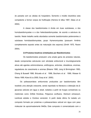 do parasita com as células do hospedeiro. Somente o micélio dicariótico esta

competente a formar corpos de frutificação (Herrera & Ulloa 1997, Glass et al.

2004).

            A classe dos basidiomicetos é divida em duas subclasses, a dos

homobasidiomycetae e a dos heterobasidiomycetae, de acordo a estrutura do

basídio. Neste trabalho serão abordados somente basidiomicetos pertencentes à

subclasse homobasidiomycetae, grupo Hymenomycetes (possuem himênio

completamente exposto antes da maturação dos esporos) (Smith 1972, Raven

2004).

            2.8 Produtos bioativos sintetizados por Basidiomicetos

            Os basidiomicetos produzem uma ampla gama de produtos naturais,

desde componentes estruturais com atividade antitumoral e imunologicamente

ativos até agentes antimicrobianos, antifúngicos, antivirais, citostáticos, enzimas,

reguladores de crescimento e aromas (Breene 1990, Jong & Birmingham 1993,

Chang & Buswell 1996, Brizuela et al. 1998, Borchers et al. 1999, Wasser &

Weiss 1999, Kües & Liu 2000, Suay et al. 2000).

         Os polissacarídeos antitumorais produzidos por basidiomicetos têm

recebido uma atenção crescente, sendo reportada na literatura a obtenção de β-

glucanas solúveis em água e alcali, isolados a partir de fungos comestíveis ou

medicinais como Grifola frondosa, Polyporus confluens, Hericium erinaceum,

Lentinula edodes e Coriolus versicolor. A partir deste último foi isolado um

composto formado por proteínas e polissacarídeos solúvel em água com peso

molecular de aproximadamente 94kDa. Este composto é comercializado com o

                                                                                 26
 