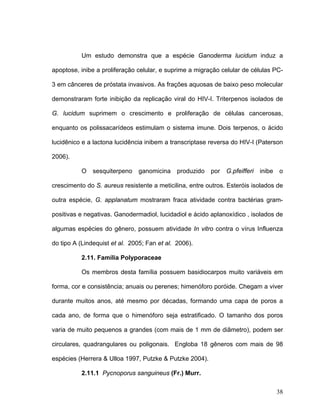 Um estudo demonstra que a espécie Ganoderma lucidum induz a

apoptose, inibe a proliferação celular, e suprime a migração celular de células PC-

3 em cânceres de próstata invasivos. As frações aquosas de baixo peso molecular

demonstraram forte inibição da replicação viral do HIV-I. Triterpenos isolados de

G. lucidum suprimem o crescimento e proliferação de células cancerosas,

enquanto os polissacarídeos estimulam o sistema imune. Dois terpenos, o ácido

lucidênico e a lactona lucidência inibem a transcriptase reversa do HIV-I (Paterson

2006).

          O    sesquiterpeno   ganomicina     produzido   por   G.pfeifferi   inibe   o

crescimento do S. aureus resistente a meticilina, entre outros. Esteróis isolados de

outra espécie, G. applanatum mostraram fraca atividade contra bactérias gram-

positivas e negativas. Ganodermadiol, lucidadiol e ácido aplanoxídico , isolados de

algumas espécies do gênero, possuem atividade In vitro contra o vírus Influenza

do tipo A (Lindequist et al. 2005; Fan et al. 2006).

          2.11. Família Polyporaceae

          Os membros desta família possuem basidiocarpos muito variáveis em

forma, cor e consistência; anuais ou perenes; himenóforo poróide. Chegam a viver

durante muitos anos, até mesmo por décadas, formando uma capa de poros a

cada ano, de forma que o himenóforo seja estratificado. O tamanho dos poros

varia de muito pequenos a grandes (com mais de 1 mm de diâmetro), podem ser

circulares, quadrangulares ou poligonais. Engloba 18 gêneros com mais de 98

espécies (Herrera & Ulloa 1997, Putzke & Putzke 2004).

          2.11.1 Pycnoporus sanguineus (Fr.) Murr.

                                                                                      38
 