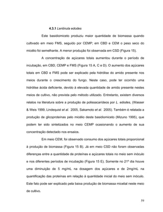 4.3.1 Lentinula edodes

              Este basidiomiceto produziu maior quantidade de biomassa quando

cultivado em meio FMS, seguido por CEMP; em CBD e CEM o peso seco do

micélio foi semelhante. A menor produção foi observada em CSD (Figura 15).

              A concentração de açúcares totais aumentou durante o período de

incubação, em CBD, CEMP e FMS (Figura 15 A, C e D). O aumento dos açúcares

totais em CBD e FMS pode ser explicado pela hidrólise do amido presente nos

meios durante o crescimento do fungo. Neste caso, pode ter ocorrido uma

hidrólise ácida deficiente, devido à elevada quantidade de amido presente nestes

meios de cultivo, não prevista pelo método utilizado. Entretanto, existem diversos

relatos na literatura sobre a produção de polissacarídeos por L. edodes, (Wasser

& Weis 1999, Lindequist et al. 2005, Sakamoto et al. 2005). Também é relatada a

produção de glicoproteínas pelo micélio deste basidiomiceto (Mizuno 1995), que

podem ter sido sintetizados no meio CEMP ocasionando o aumento de sua

concentração detectado nos ensaios.

              Em meio CEM, foi observado consumo dos açúcares totais proporcional

à produção de biomassa (Figura 15 B). Já em meio CSD não foram observadas

diferenças entre a quantidade de proteínas e açúcares totais no meio sem inóculo

e nos diferentes períodos de incubação (Figura 15 E). Somente no 21º dia houve

uma diminuição de 5 mg/mL na dosagem dos açúcares e de 2mg/mL na

quantificação das proteínas em relação à quantidade inicial do meio sem inóculo.

Este fato pode ser explicado pela baixa produção de biomassa micelial neste meio

de cultivo.

                                                                               59
 